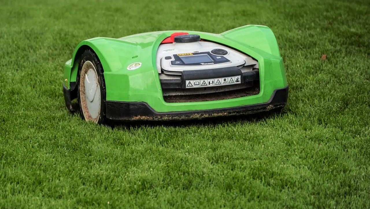 Har du robotplæneklipper? Sådan beskytter du pindsvinene i haven